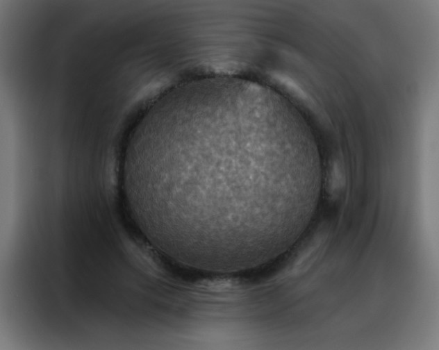X0000088200639200705221723