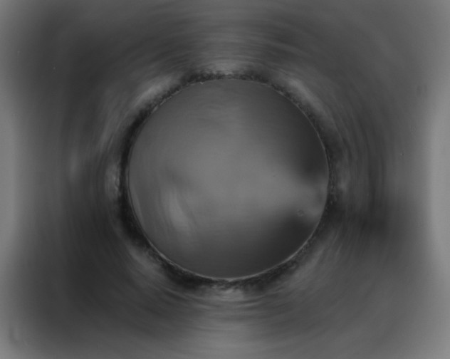 X0000088200640200705221723