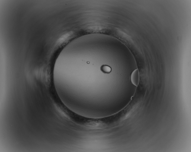 X0000088200642200705221723