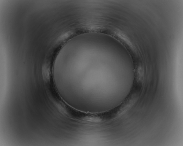 X0000088200644200705221723