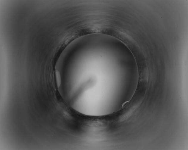 X0000088200646200705221723