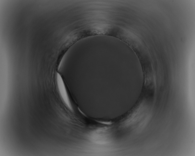 X0000088200647200705221723
