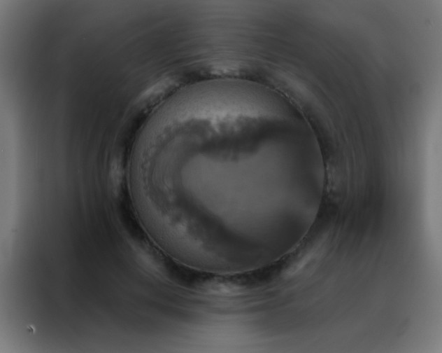 X0000088200648200705221723