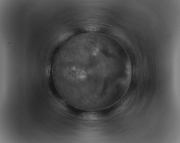 X0000088200652200705221723