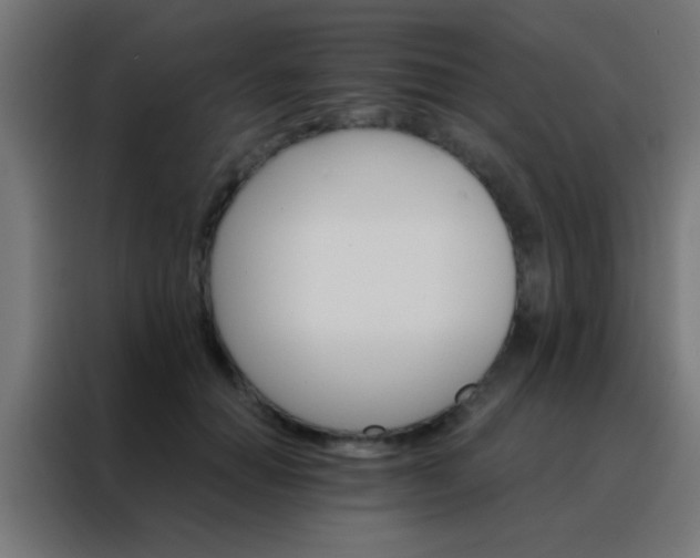 X0000088200654200705221723