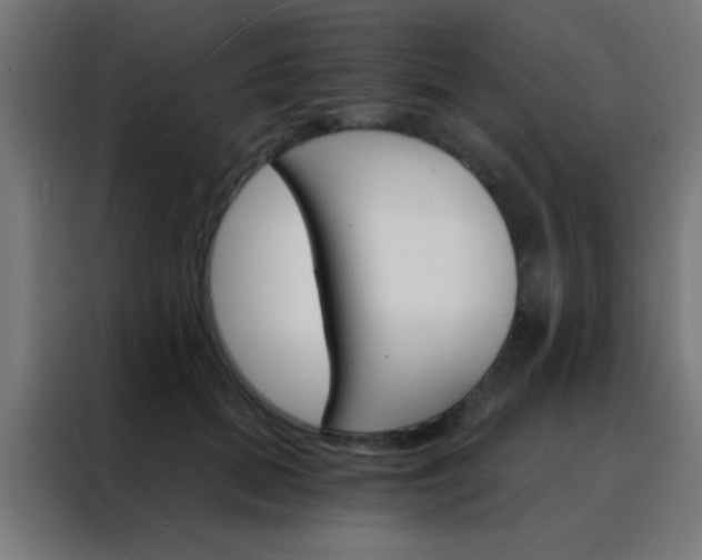 X0000088200655200705221723