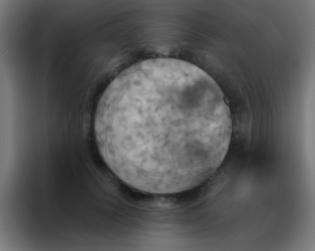 X0000088200656200705221724