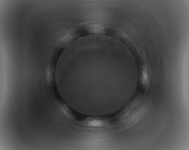 X0000088200658200705221724