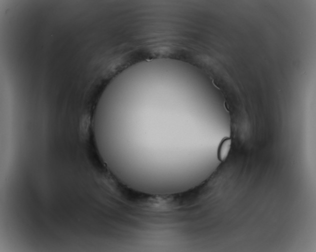 X0000088200660200705221724