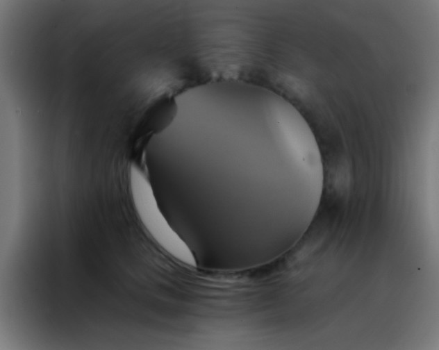 X0000088200661200705221724