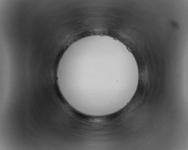 X0000088200662200705221724