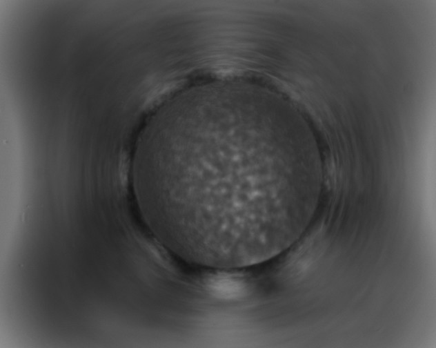 X0000088200664200705221724