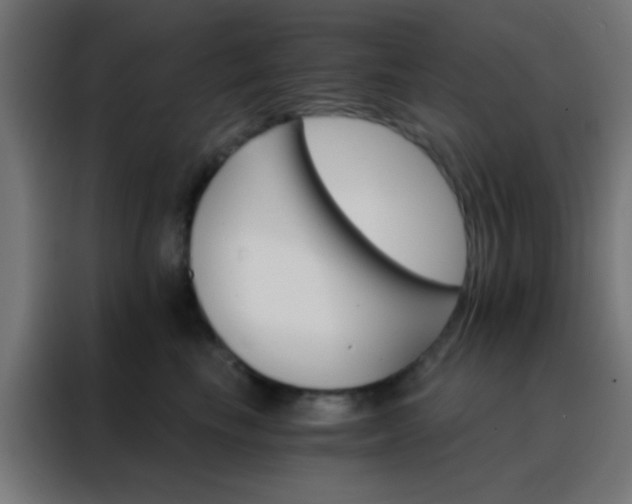 X0000088200665200705221724