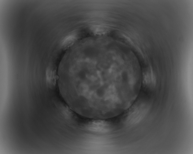 X0000088200666200705221724
