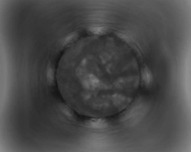 X0000088200667200705221724