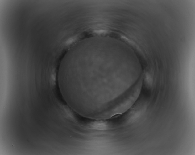 X0000088200668200705221724