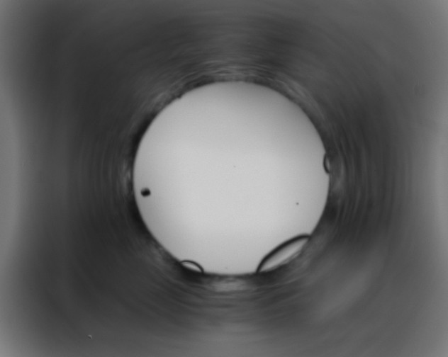 X0000088200669200705221724