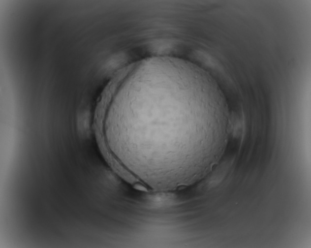 X0000088200670200705221724