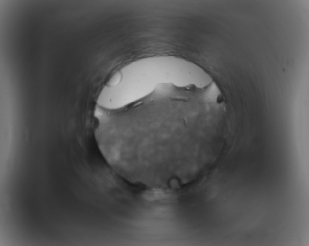 X0000088200672200705221724