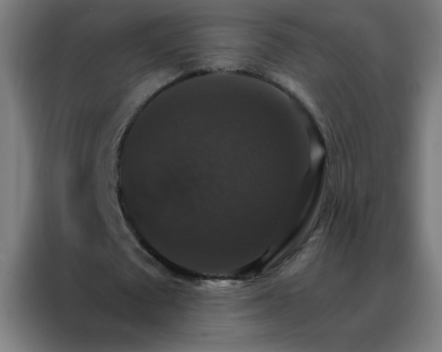 X0000088200673200705221723