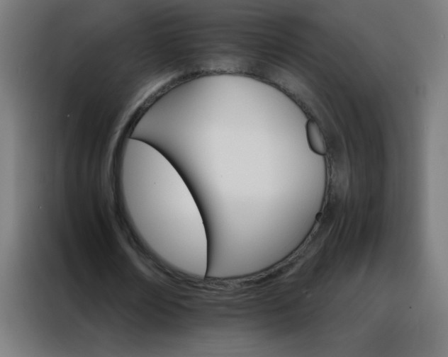 X0000088200674200705221723