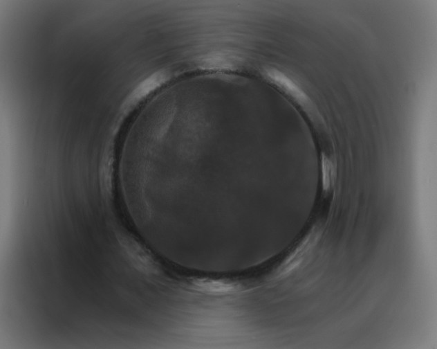 X0000088200675200705221723