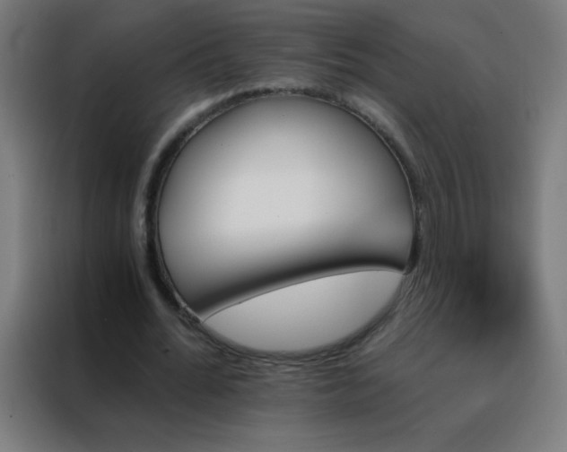X0000088200676200705221723