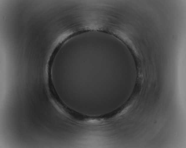 X0000088200678200705221723