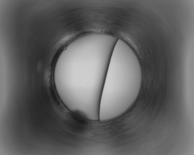 X0000088200679200705221723