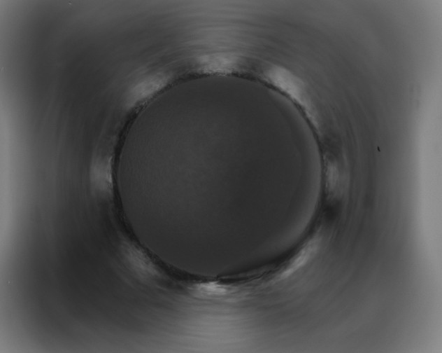 X0000088200681200705221723