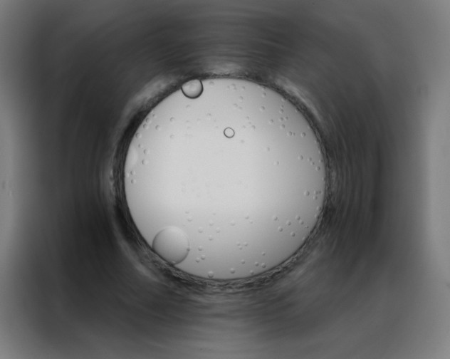 X0000088200682200705221723