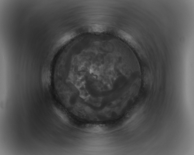 X0000088200683200705221723