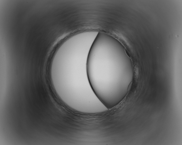 X0000088200684200705221723