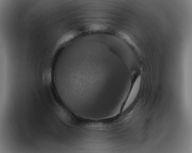 X0000088200685200705221723