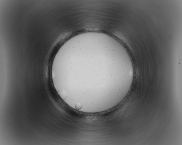 X0000088200686200705221723