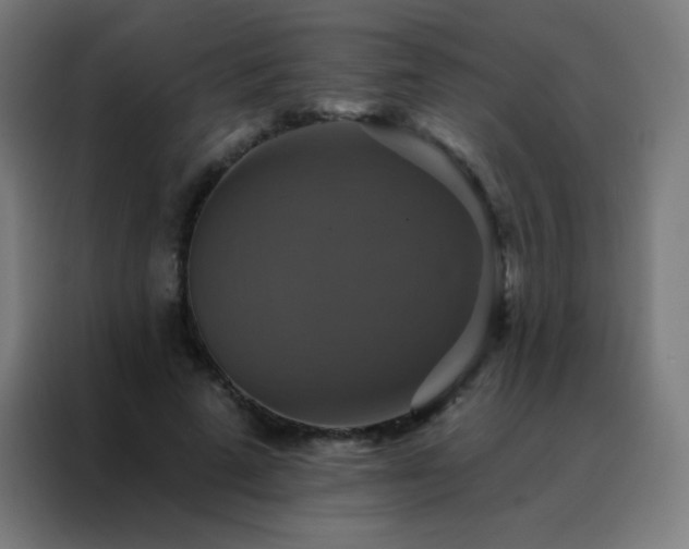 X0000088200689200705221723