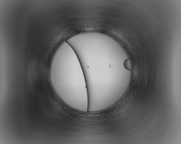 X0000088200691200705221723