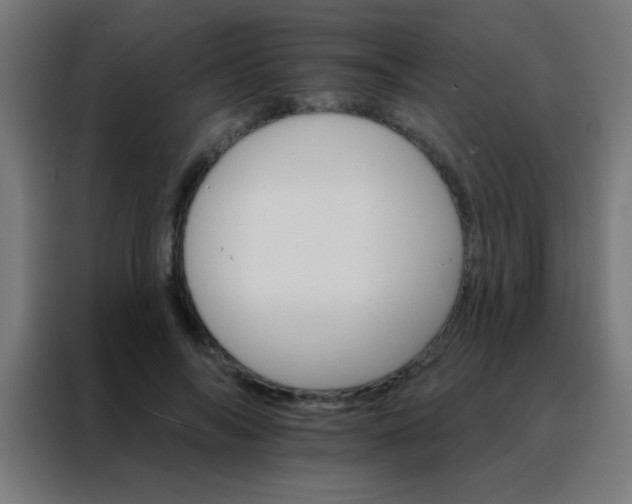 X0000088200694200705221723