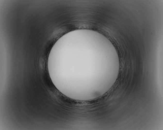 X0000088200695200705221723