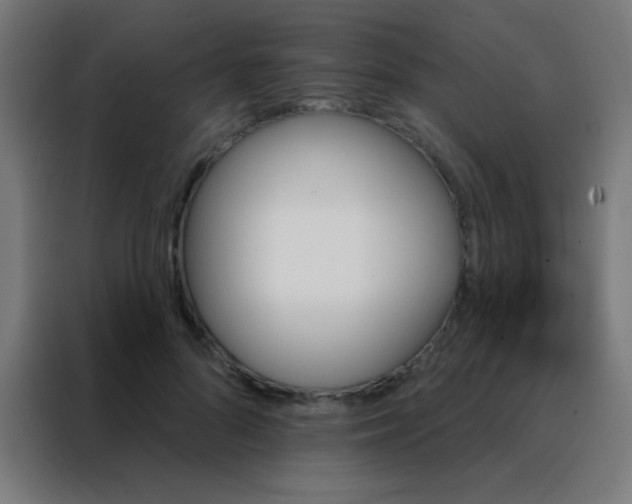 X0000088200696200705221723