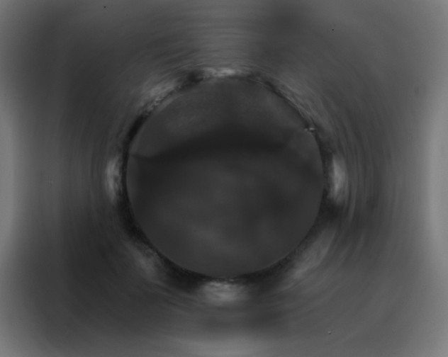 X0000088200699200705221723