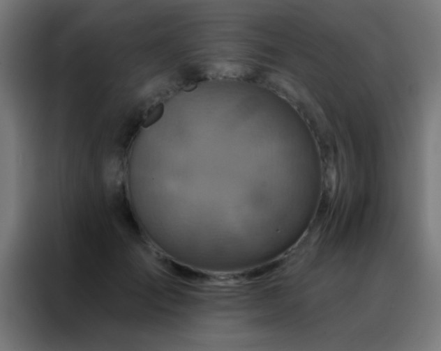 X0000088200701200705221723