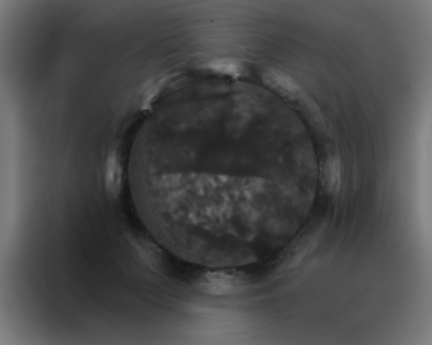 X0000088200703200705221723