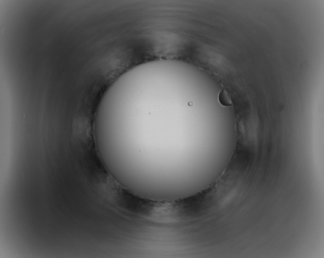 X0000088200705200705221723