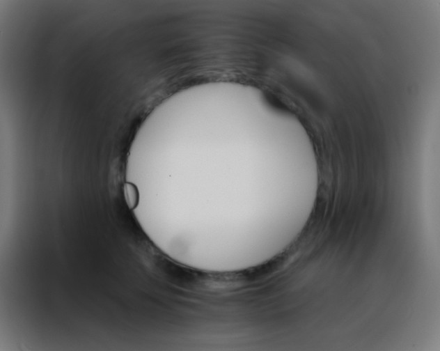 X0000088200707200705221723