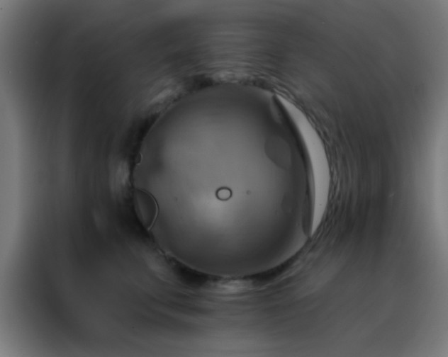 X0000088200711200705221723