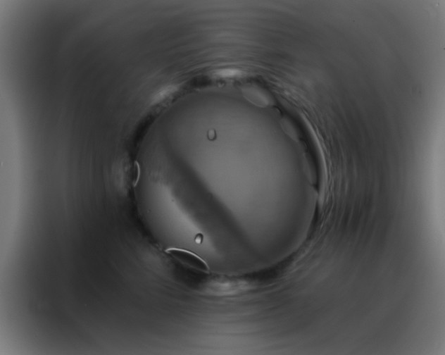 X0000088200712200705221723