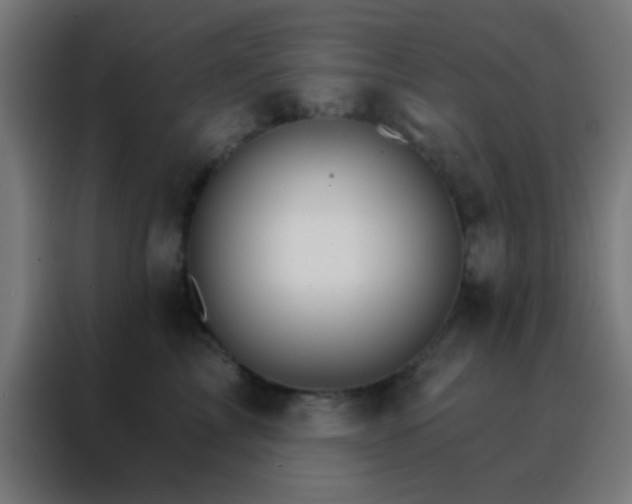 X0000088200713200705221723