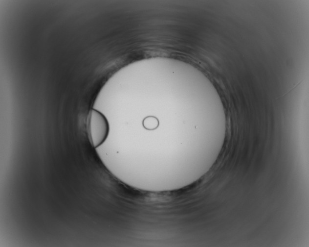 X0000088200714200705221723
