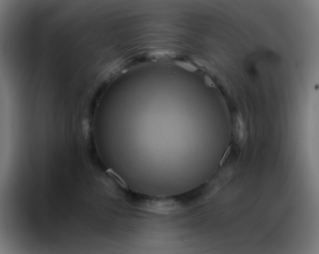 X0000088200716200705221723